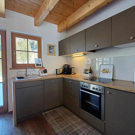 Tauerndorf Enzingerboden Ski In&Out - Steinbock Lodges Esterno foto